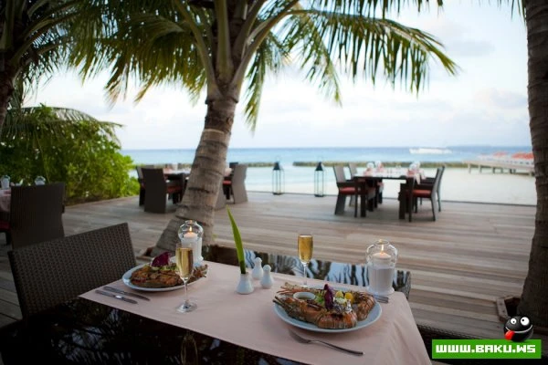 Kuramathi Island Resort на Мальдивах [31 фото]