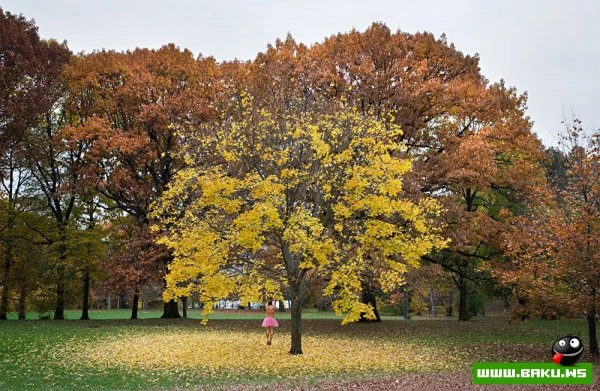 В розовой пачке [24 фото]