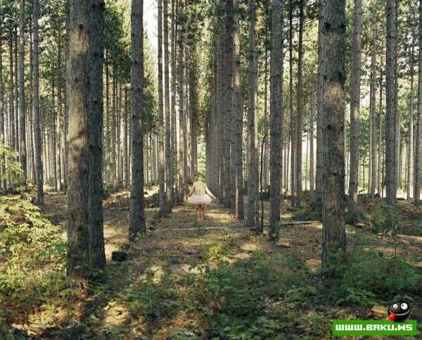 В розовой пачке [24 фото]