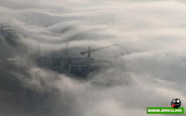 Дубай, окутанный туманом [11 фото]