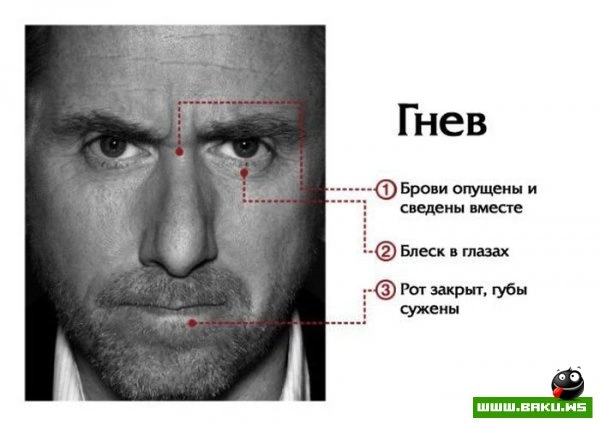 Мимика лица говорит о многом [7 фото]