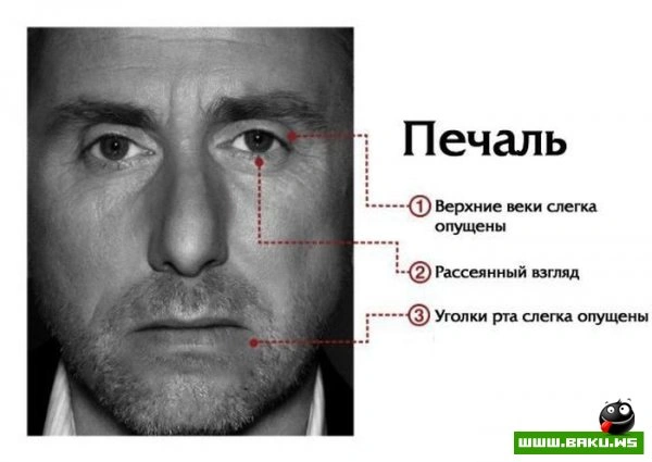 Мимика лица говорит о многом [7 фото]