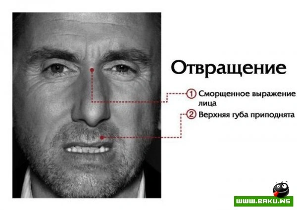 Мимика лица говорит о многом [7 фото]