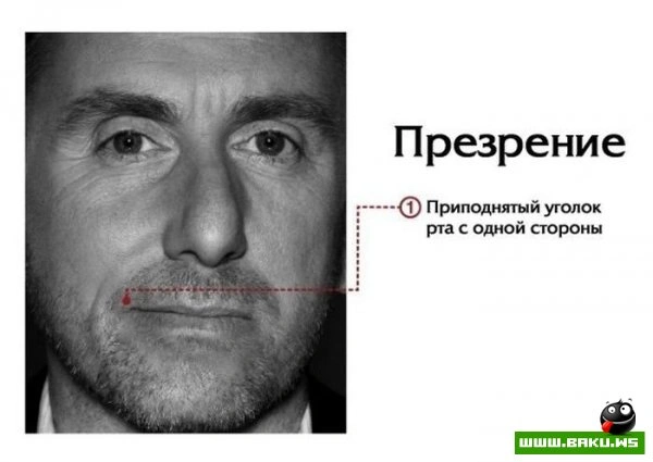 Мимика лица говорит о многом [7 фото]