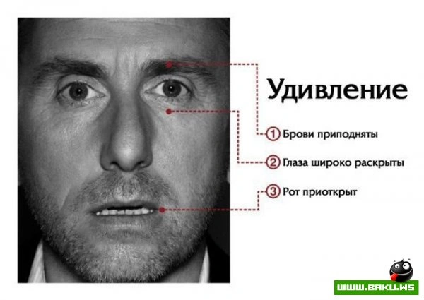 Мимика лица говорит о многом [7 фото]