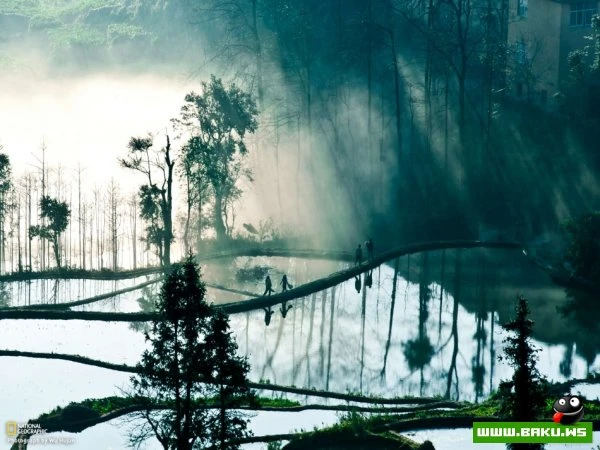 Лучшие фотографии недели от National Geographic