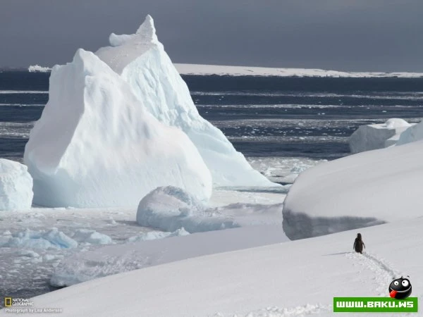 Лучшие фотографии недели от National Geographic