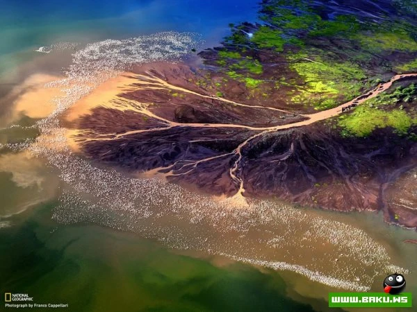 Лучшие фотографии недели от National Geographic
