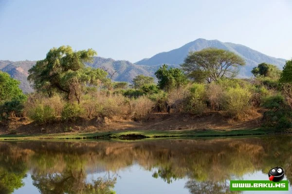 Chongwe River – особняк в аренду в африканском Национальном парке Chongwe River – особняк в аренду в африканском Национальном парке