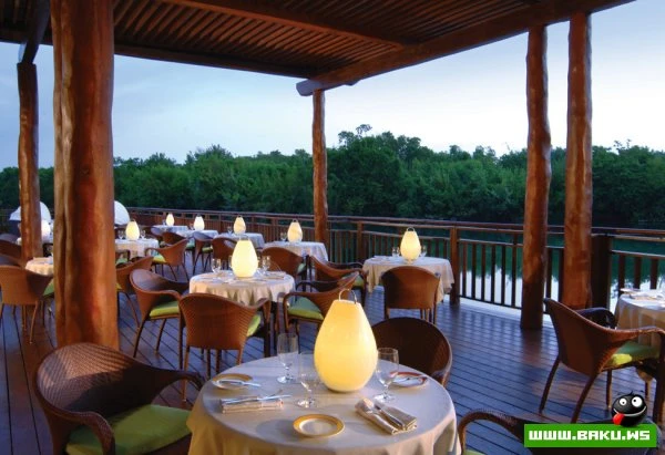 Тропический рай в отеле Fairmont Mayakoba в Мексике