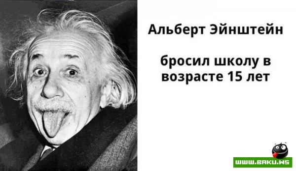 Если вы бросили институт не переживайте [7 фото]