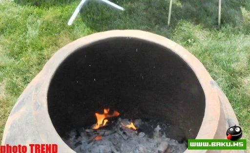 Пикник на лужайке 