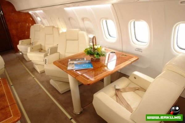 SW Business Aviation [43 фото]