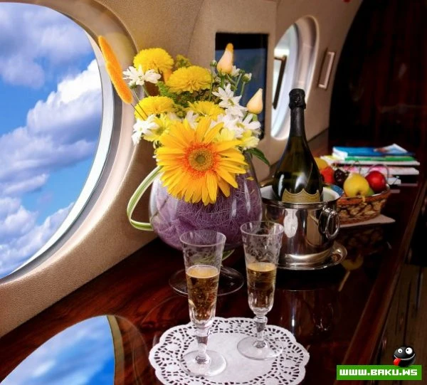 SW Business Aviation [43 фото]