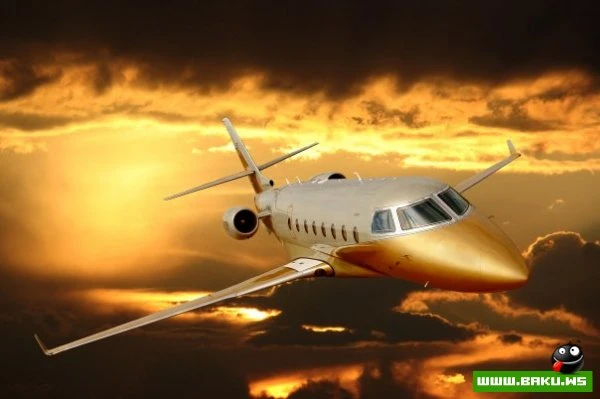 SW Business Aviation [43 фото]