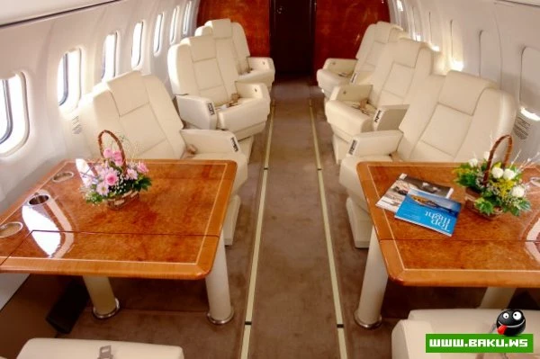 SW Business Aviation [43 фото]