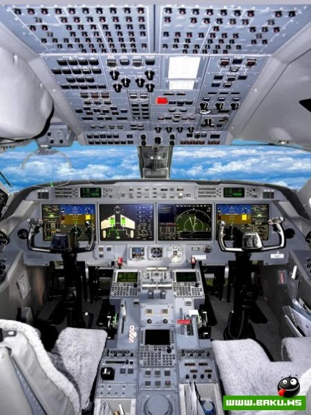 SW Business Aviation [43 фото]