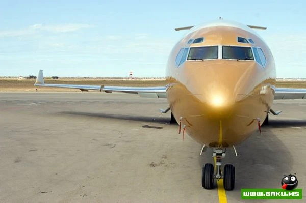 SW Business Aviation [43 фото]