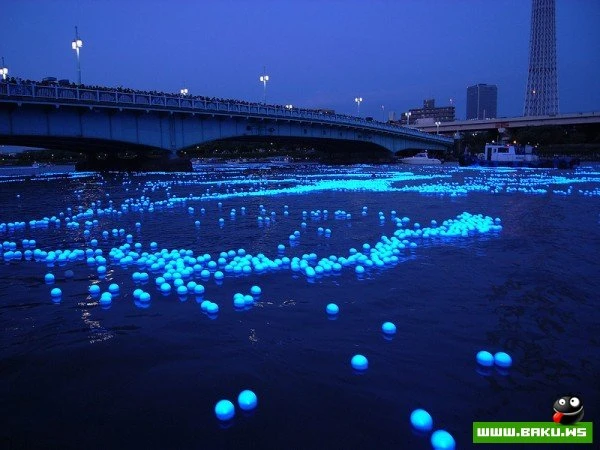 Фестиваль светлячков в Токио [Tokyo Hotaru Festival 2012]