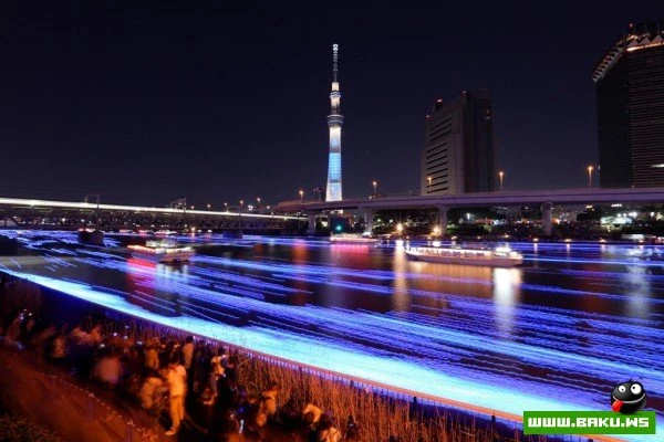 Фестиваль светлячков в Токио [Tokyo Hotaru Festival 2012]