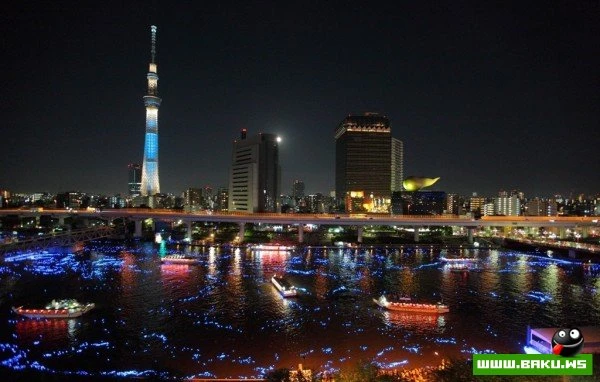 Фестиваль светлячков в Токио [Tokyo Hotaru Festival 2012]