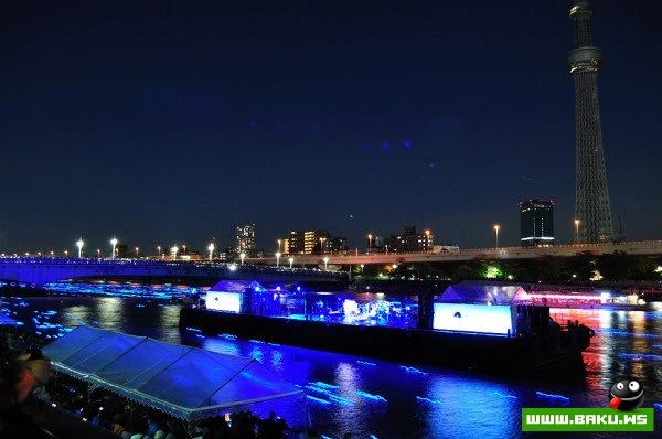 Фестиваль светлячков в Токио [Tokyo Hotaru Festival 2012]