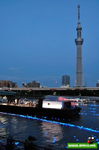 Фестиваль светлячков в Токио [Tokyo Hotaru Festival 2012]