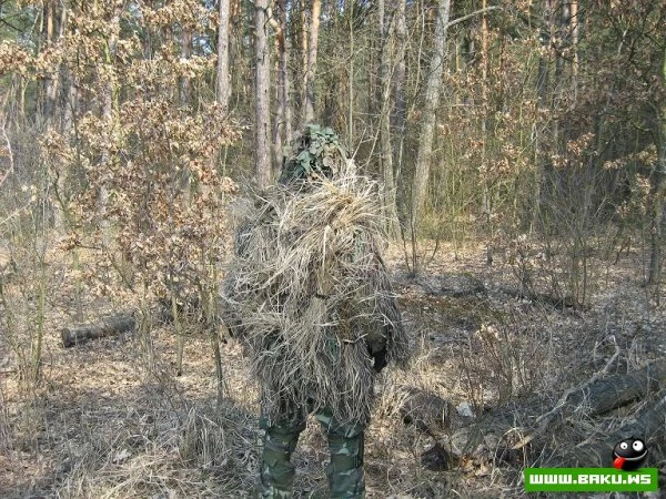 В лесах Губы были замечены вооруженные Партизаны!