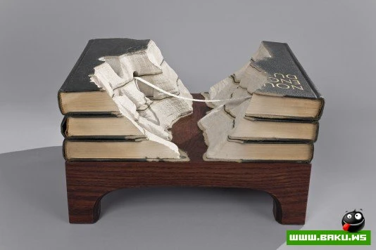 Книжные пейзажи от Гая Ларами