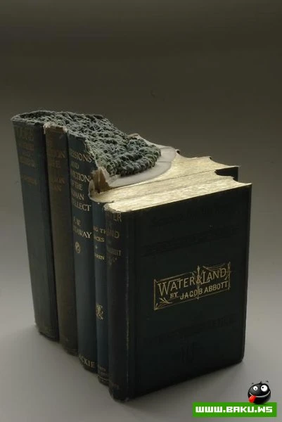 Книжные пейзажи от Гая Ларами