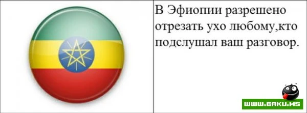 Cтранные законы разных стран [20 картинок]