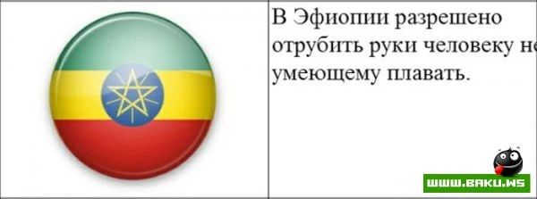 Cтранные законы разных стран [20 картинок]