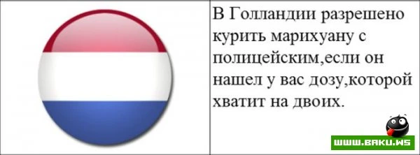 Cтранные законы разных стран [20 картинок]
