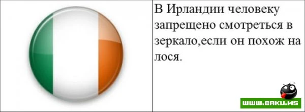 Cтранные законы разных стран [20 картинок]