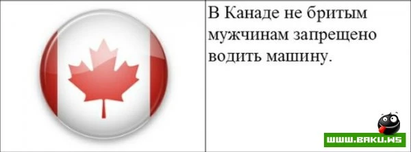 Cтранные законы разных стран [20 картинок]