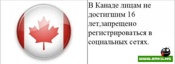 Cтранные законы разных стран [20 картинок]