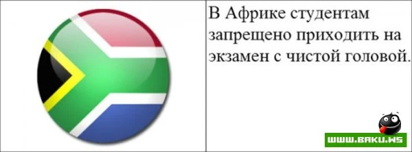 Cтранные законы разных стран [20 картинок]