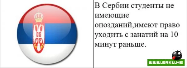 Cтранные законы разных стран [20 картинок]