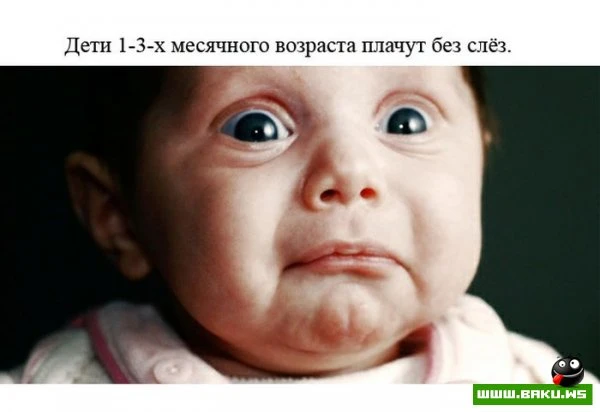 Факты о человеке [23 фактов]