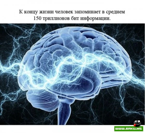 Факты о человеке [23 фактов]