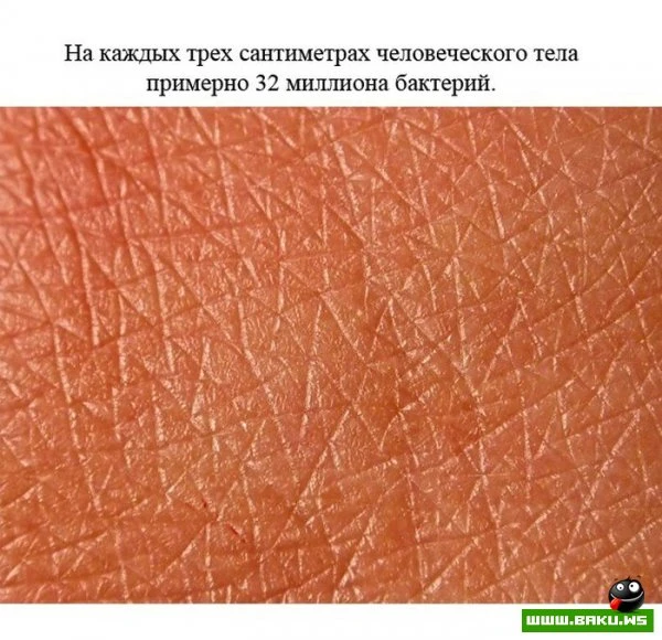 Факты о человеке [23 фактов]