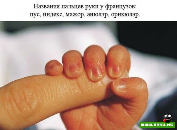 Факты о человеке [23 фактов]