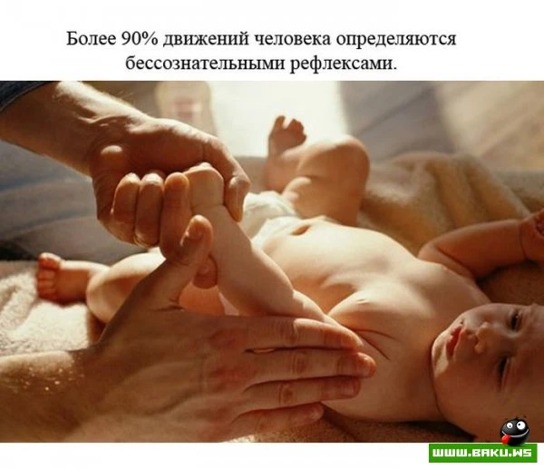 Факты о человеке [23 фактов]