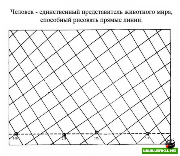 Факты о человеке [23 фактов]