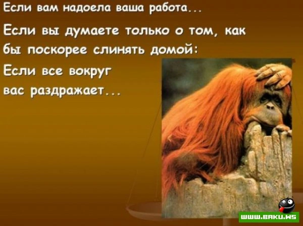 Если вам надоела ваша работа? [25 фото]