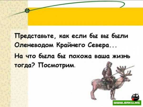 Если вам надоела ваша работа? [25 фото]