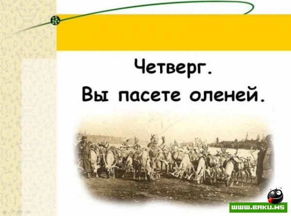Если вам надоела ваша работа? [25 фото]