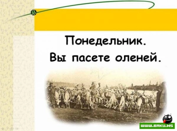 Если вам надоела ваша работа? [25 фото]