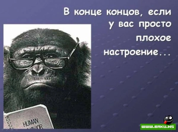 Если вам надоела ваша работа? [25 фото]