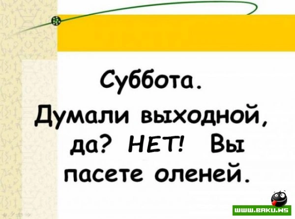 Если вам надоела ваша работа? [25 фото]